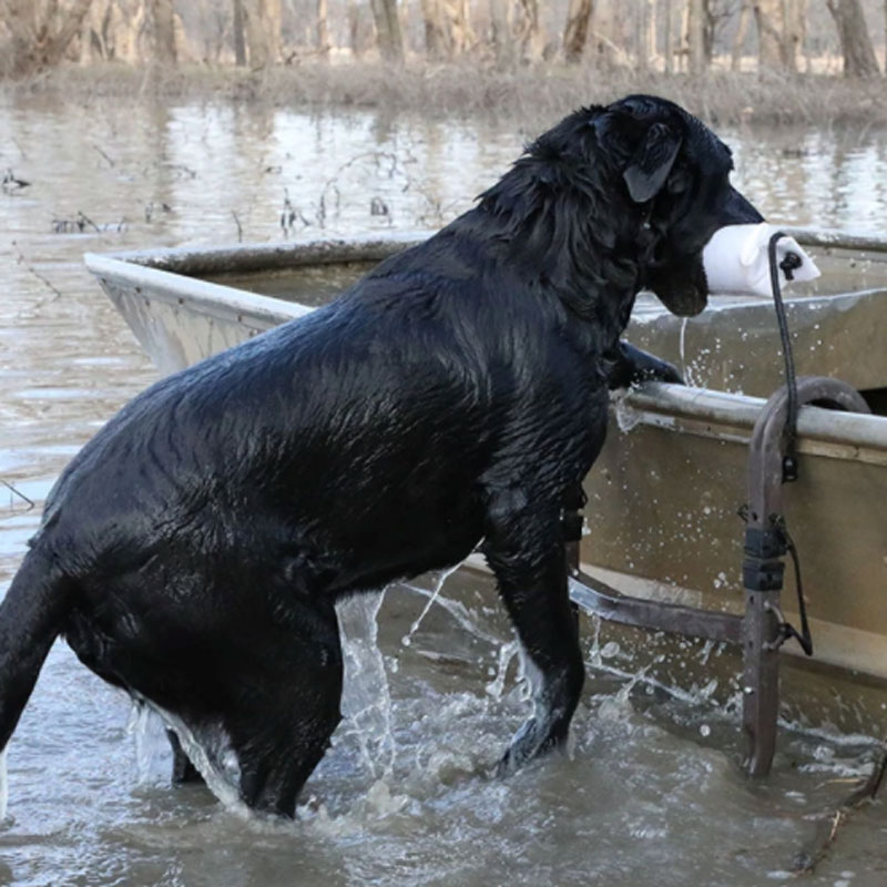 Ramp Stand in Use on Boat
