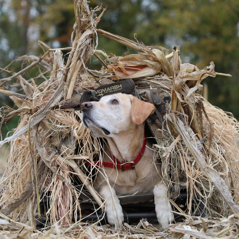 Fieldhouse Blind in Use