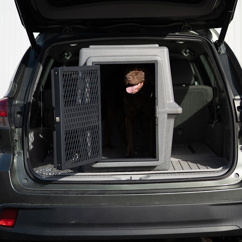 Hero Kennel in SUV