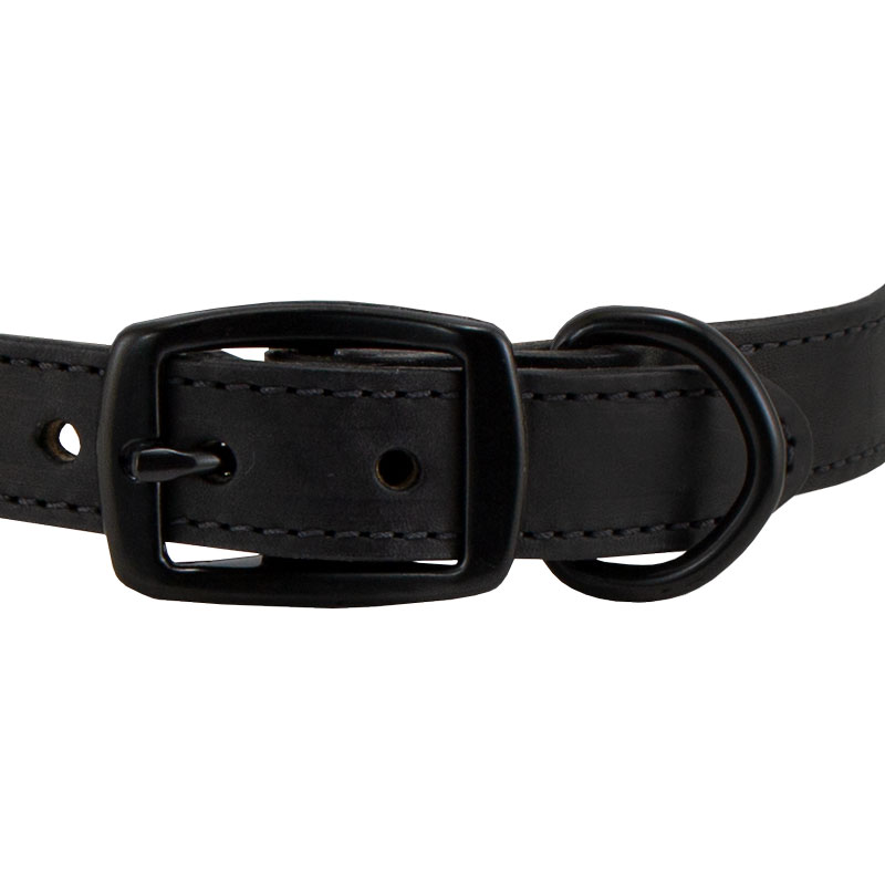 1 in. Black Leather Center-Ring Safety Dog Collar Front of Buckle Detail