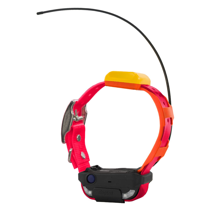 Dogtra Pathfinder 2 TRX Additional Collar -- Pink