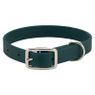 FOREST GREEN Little Dawg Collar