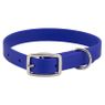 Royal Blue Little Dawg Collar