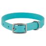 SKY BLUE Little Dawg Collar