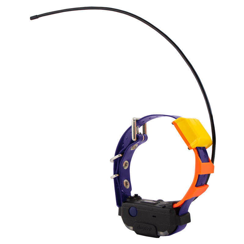 Violet Pathfinder 2 Mini TRX Collar