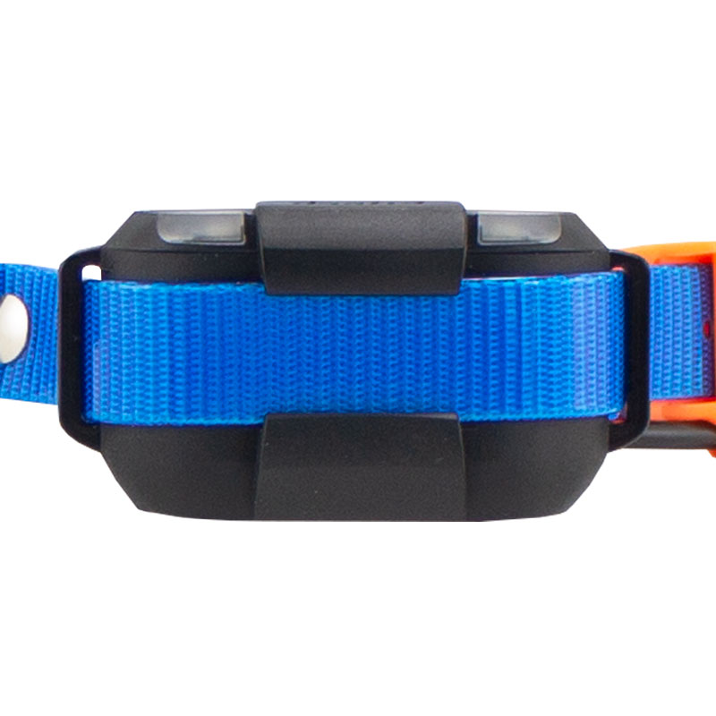 Pathfinder 2 Mini TRX Collar Bottom Detail