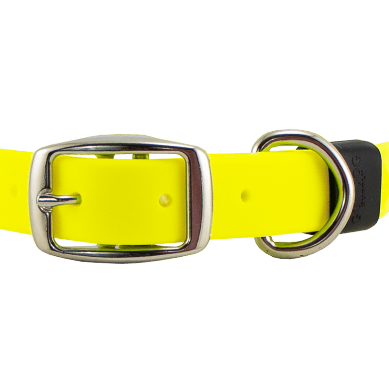 Super Heavy Biothane Center Ring Collar Buckle Front