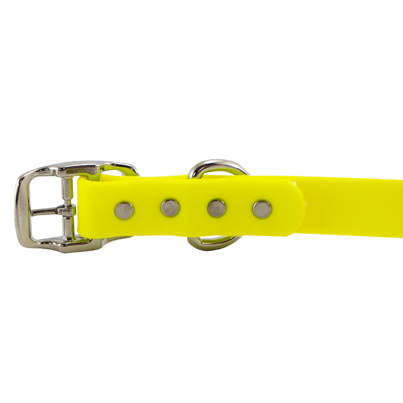 Super Heavy Biothane Center Ring Collar Buckle Detail