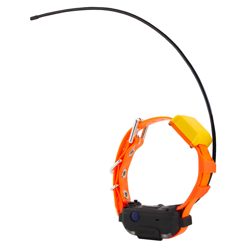 Orange Pathfinder 2 Mini TRX Collar