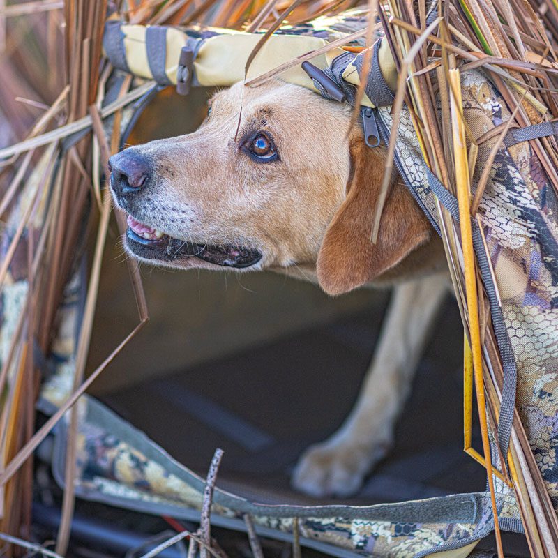 Fieldhouse Blind in Use