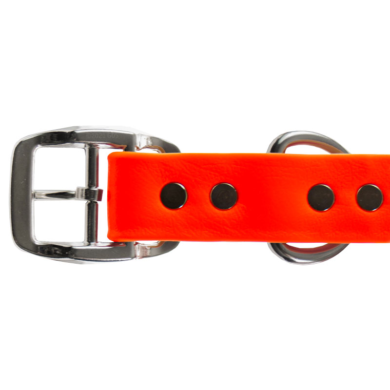 Super Heavy Biothane Standard Collar Buckle Detail