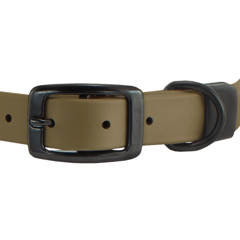 Super Heavy Biothane Standard Collar Buckle Front Detail