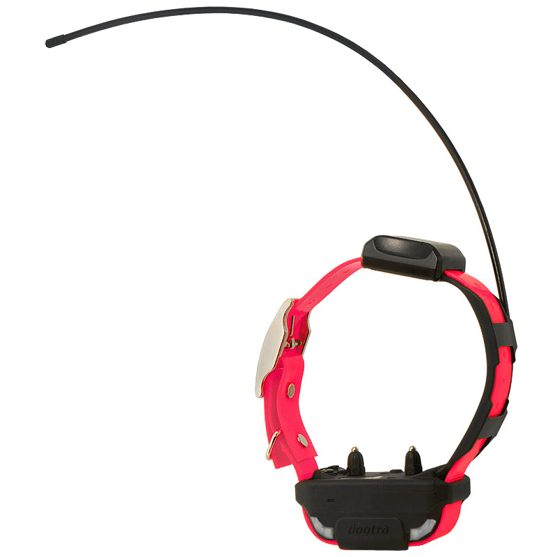 Pink Dogtra Pathfinder SE Collar