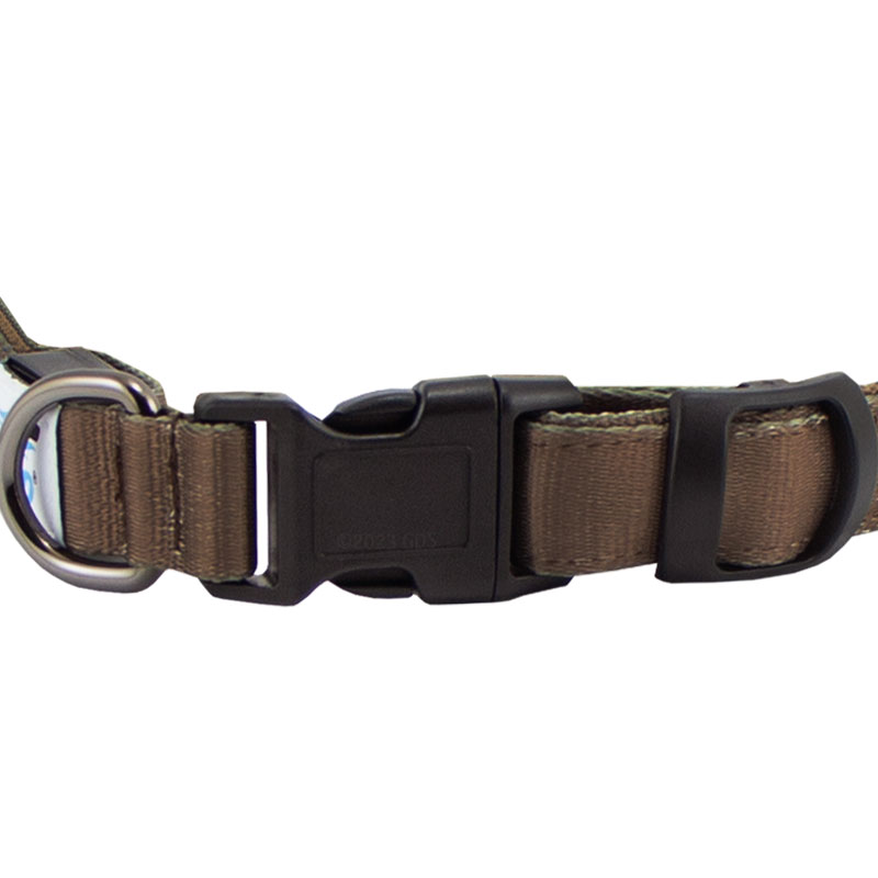 Avery Lighted Collar Front Buckle Detail