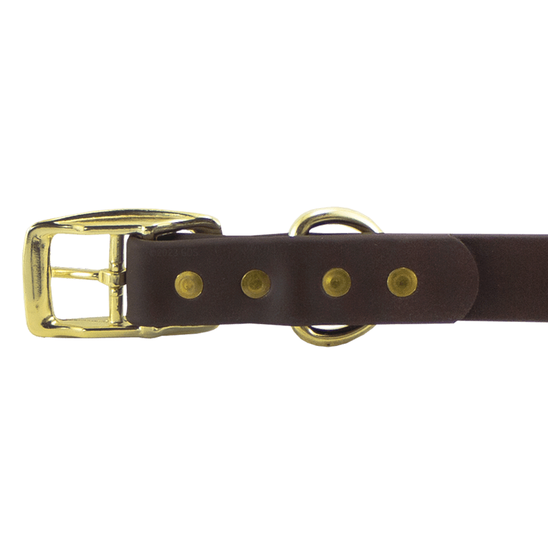 Super Heavy Biothane Standard Collar Buckle Detail