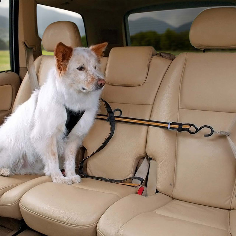 Auto Zip Line in Use on Seatbelts