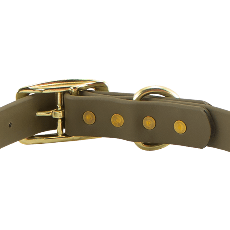 Super Heavy Biothane Standard Collar Buckle Back