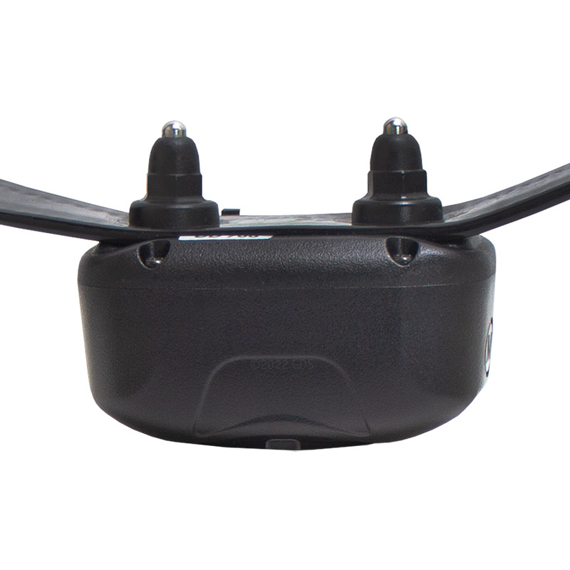 DD700 Collar Back