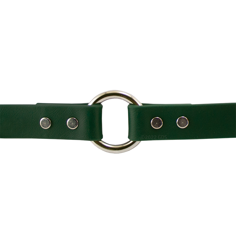 Collar Ring Detail