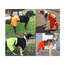 Sylmar Rear Canine Body Suit in Use