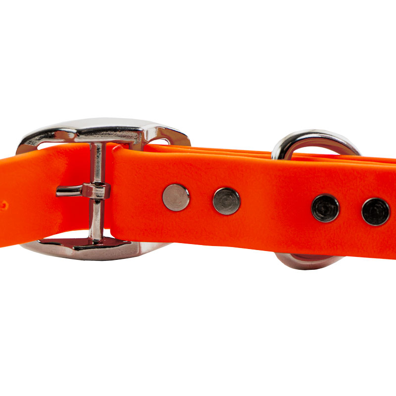 Super Heavy Biothane Standard Collar Buckle Back