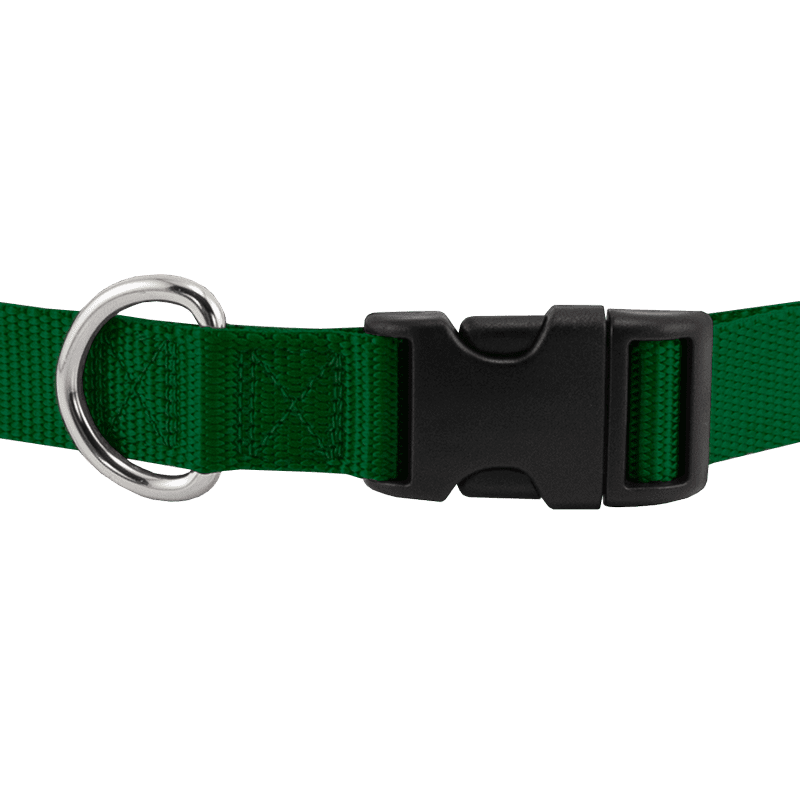 Quick Release Nylon Dog Collar Front Buckle Detail
