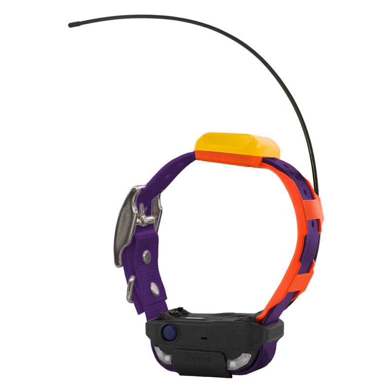 Dogtra Pathfinder 2 TRX Additional Collar -- Violet
