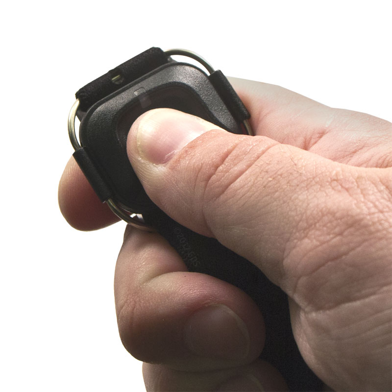 Dogtra Arc Handsfree Plus Remote in Hand