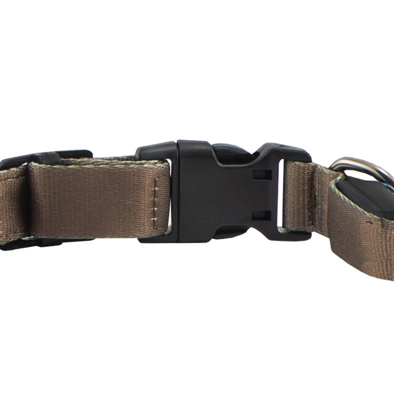 Avery Lighted Collar Back Buckle Detail