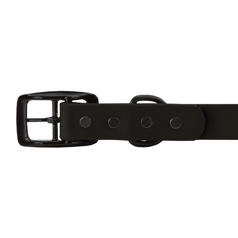 Super Heavy Biothane Standard Collar Buckle Detail