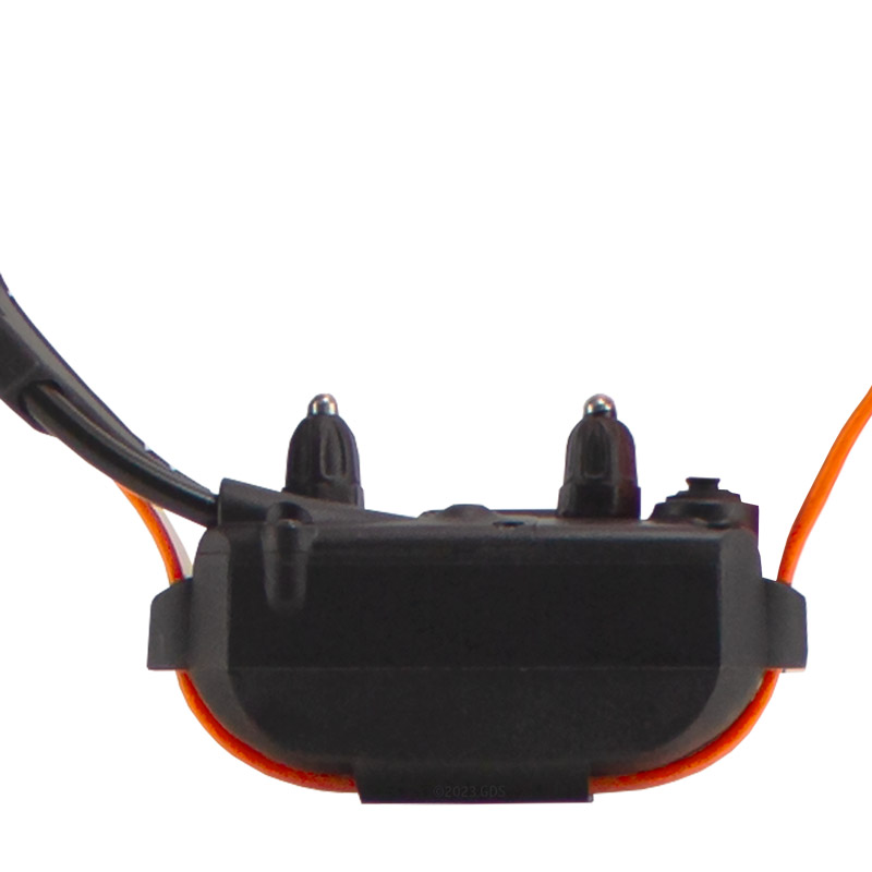 Pathfinder 2 MINI Collar Back Detail