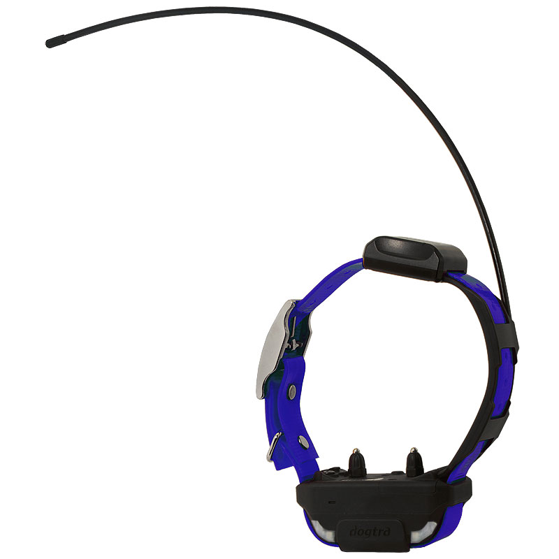 Blue Dogtra Pathfinder SE Collar