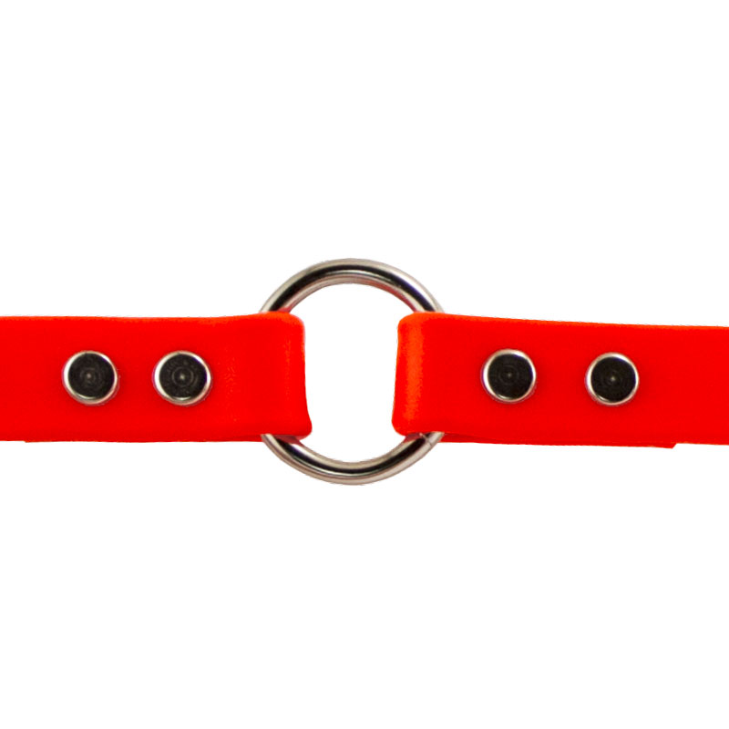 Super Heavy Biothane Center Ring Collar Ring Detail