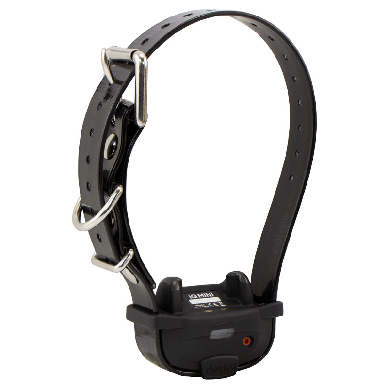 Dogtra iQ Mini Collar