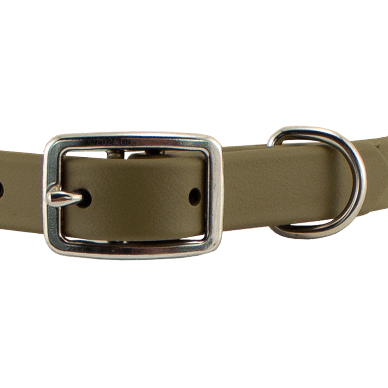 Super Heavy Biothane Standard Collar Buckle Front