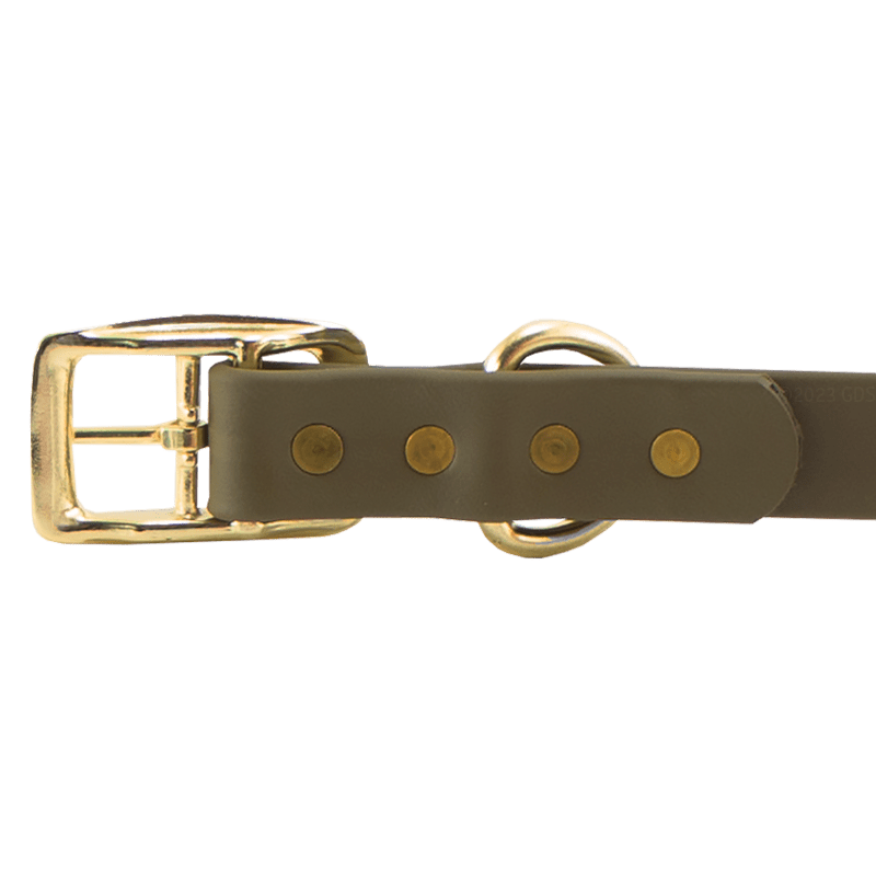 Super Heavy Biothane Standard Collar Buckle Detail