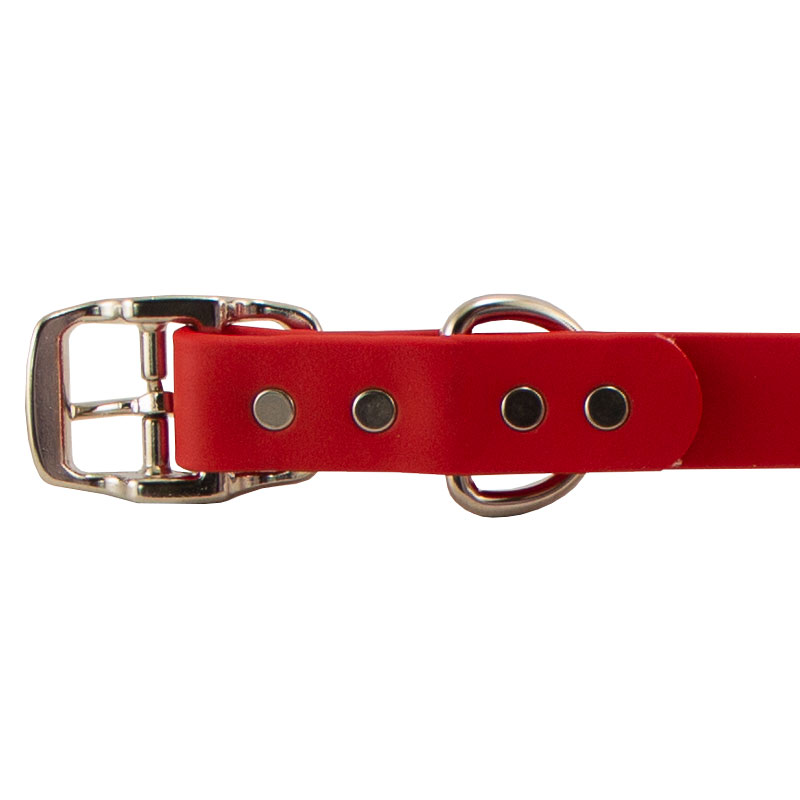 Super Heavy Biothane Standard Collar Buckle Detail