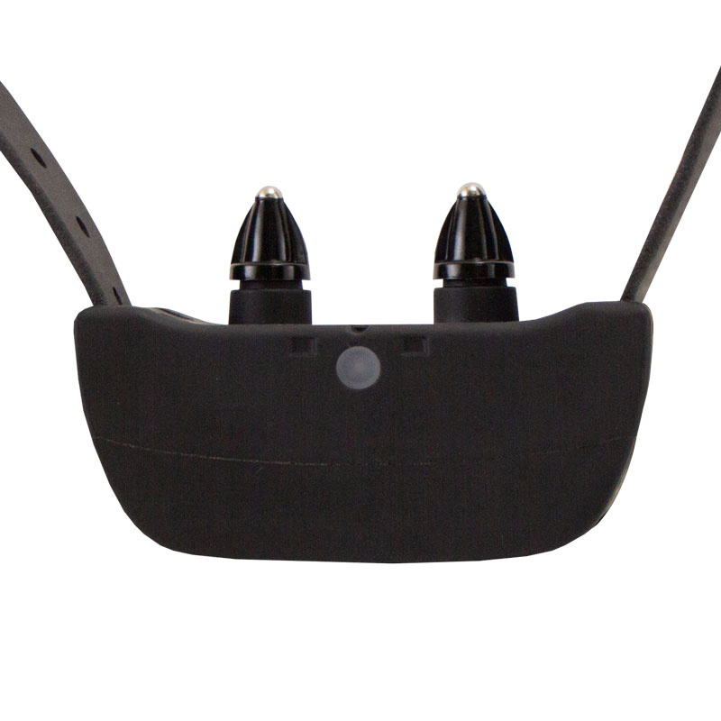 SDF 100C Front of Collar Detail