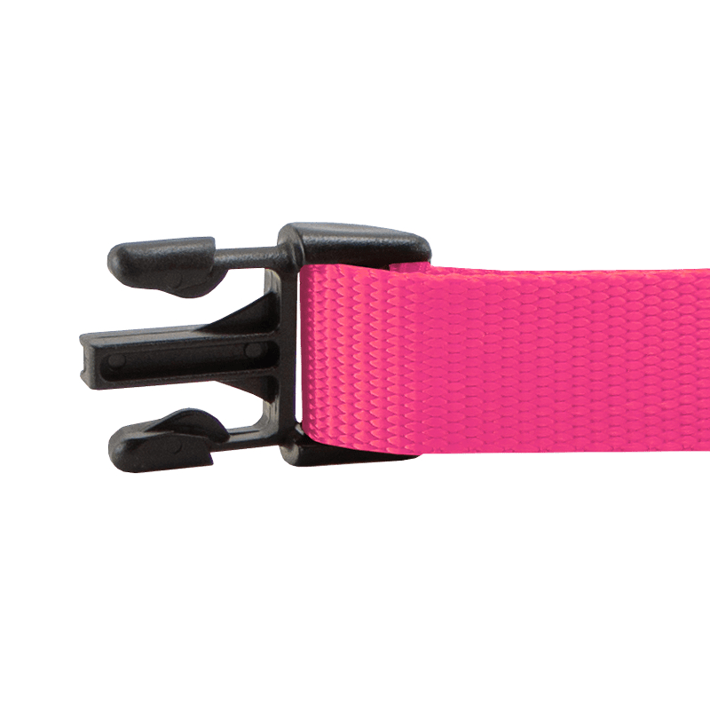 Quick Release Nylon Dog Collar Buckle Inside Detail