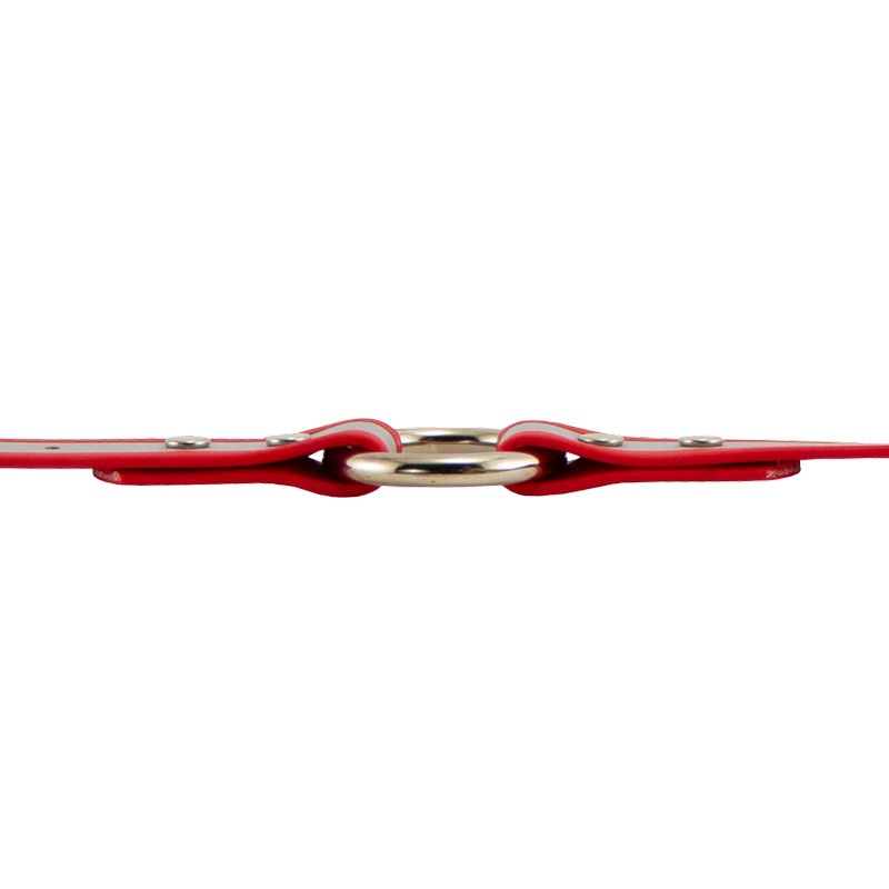 Reflective Biothane Center Ring Collar Ring Side Detail