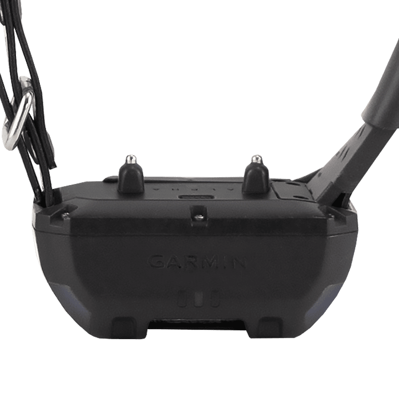 PRO 550 Plus TT25 Collar Front