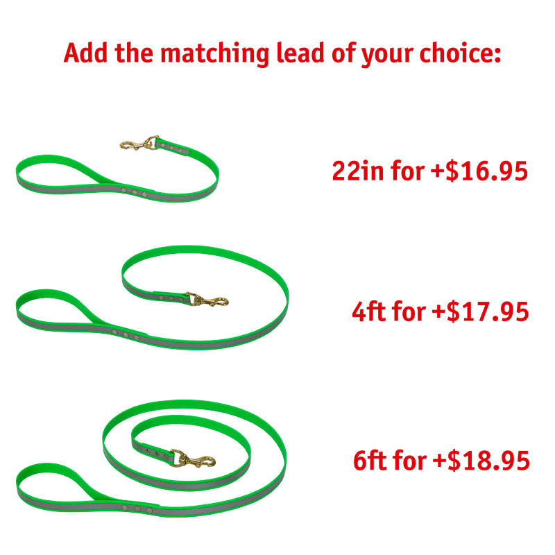Matching Leash Option