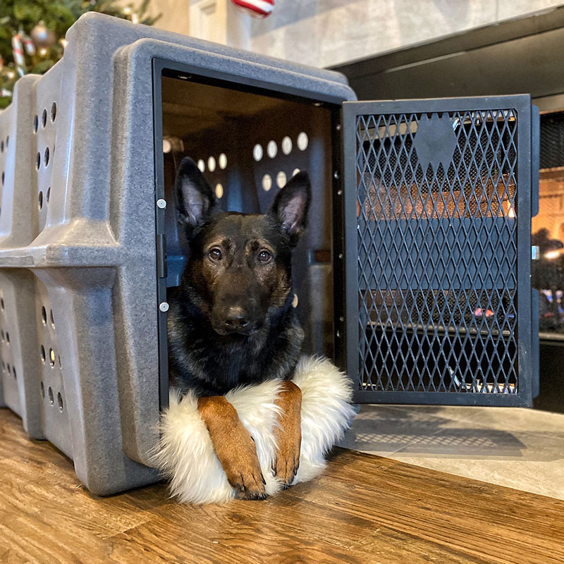 Hero Kennel in House