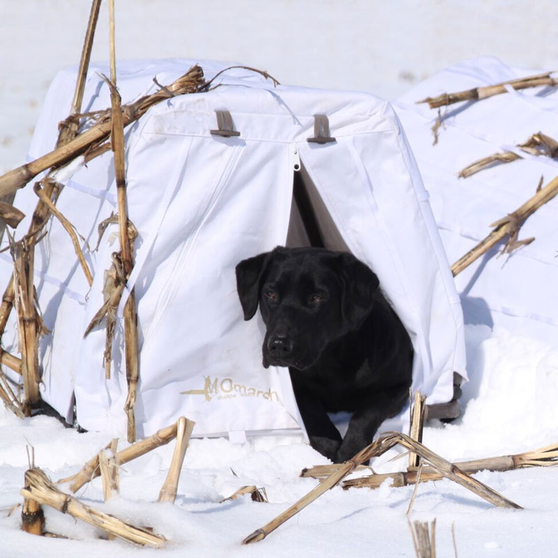 Snow Cover in Use
