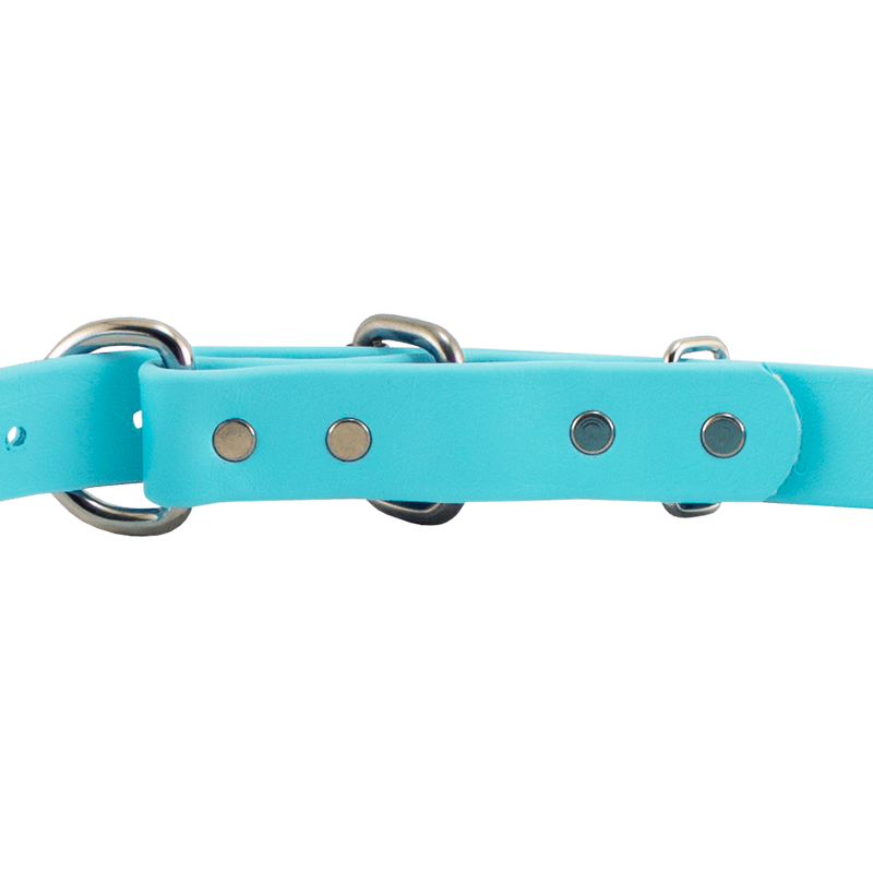 Super Heavy Biothane D-End Collar Buckle Back