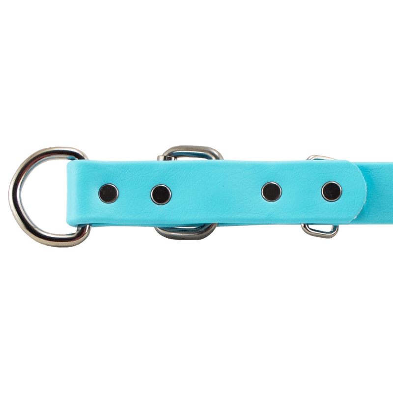 Super Heavy Biothane D-End Collar Buckle Detail