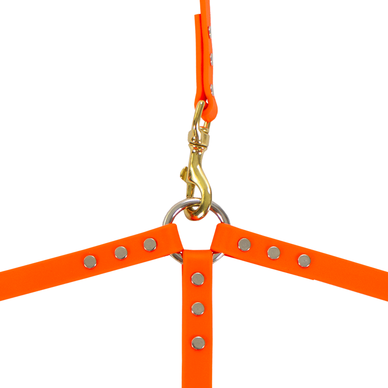 Biothane 3-Dog Lead Center Ring and Snap Detail