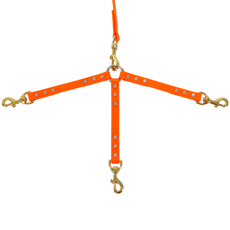 Biothane 3-Dog Lead Detail