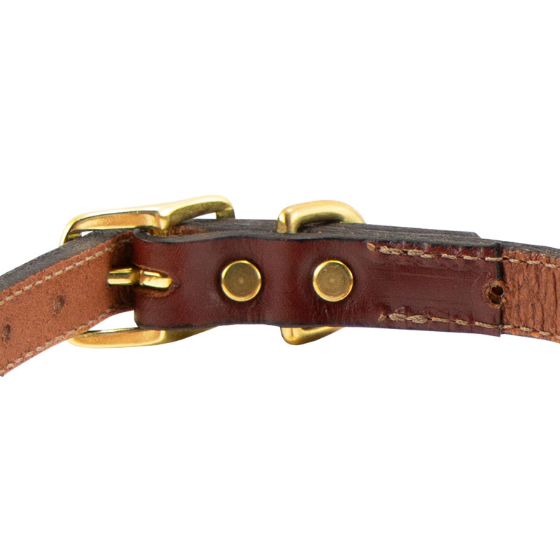 Leather Collar Back of Buckle Detail