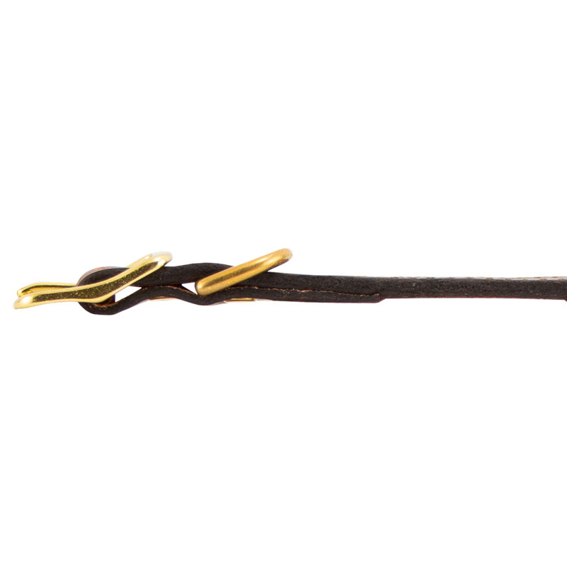 Leather Collar Buckle Edge Detail